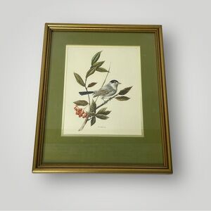 Gnatcatcher Songbird On a Branch Matted and Framed Print By A. Marlin 15" x 12"